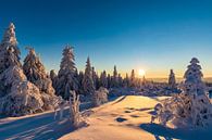 Winter in het Nationaal Park Schwarzwald van Werner Dieterich thumbnail