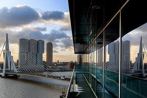 Die Erasmusbrücke vom Hotel Intell Rotterdam aus gesehen von Klaus Lucas