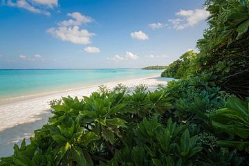 Robinson Crusoe von Loris Photography