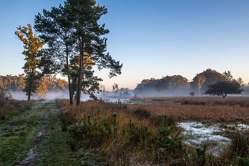Een mistdeken over het heidegebied.