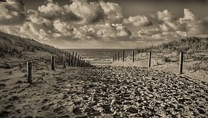 Hollandisch Strand Zwarz und Weis