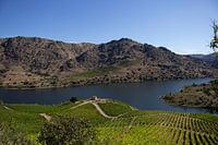 La campagne portugaise