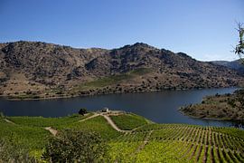 Portuguese countryside by Arie Kattenberg