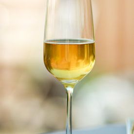 champagne by Petra Brouwer