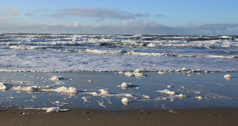Strand von Texel von Jose Lok