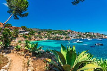 Blick auf die Strandbucht Cala Fornells auf der Insel Mallorca, Spanien Mittelmeer von Alex Winter