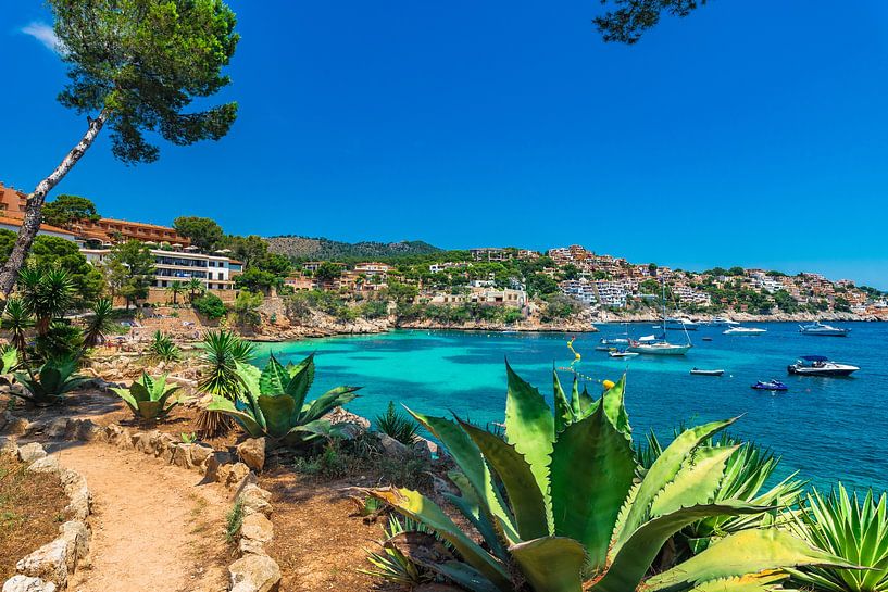 Blick auf die Strandbucht Cala Fornells auf der Insel Mallorca, Spanien Mittelmeer von Alex Winter