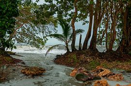 Costa Rica: Cahuita National Park