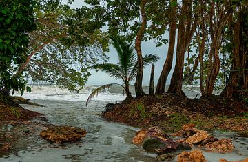 Costa Rica: Cahuita National Park van Maarten Verhees