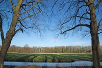 Landgoed Marquette spiegeling bomen
