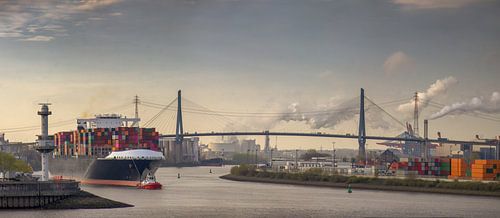 Panorama of a container ship in the morning in the port of Hamburg