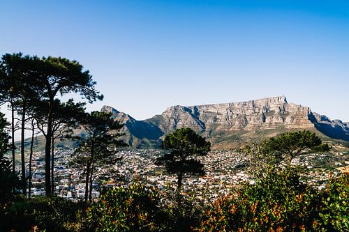 Uitzicht op Kaapstad en de Tafelberg, Zuid-Afrika