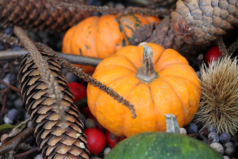 Autumn spheres - pumpkin, pine cone, rose hip and chestnut by Anne Wil Stegeman