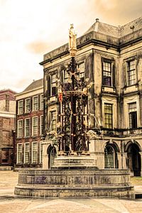 Binnenhof Den Haag Die Niederlande