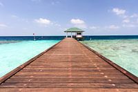 Walk towards the sea