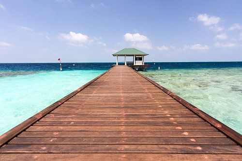 Walk towards the sea