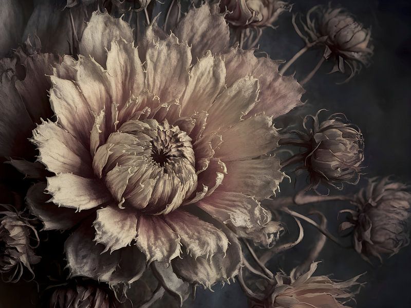 Growing Old in Grace - modern fantasy flower still life by FRESH Fine Art
