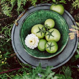 Groene tomaten van Susan Lambeck