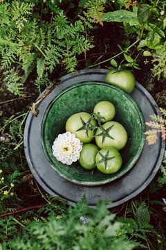 Groene tomaten van Susan Lambeck