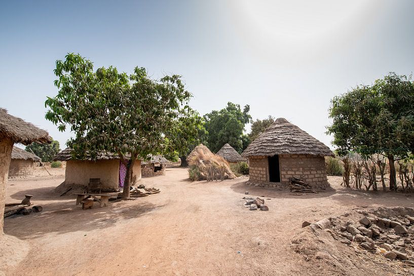 Typical African village by Ellis Peeters