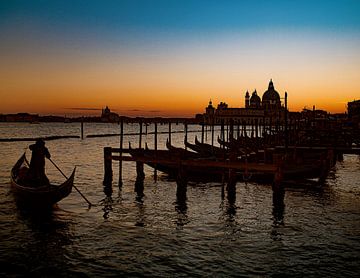 Venezia van Paolo Gant