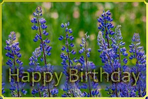 Alles gute zum Geburtstag
