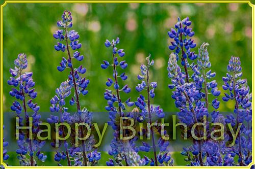 Joyeux anniversaire