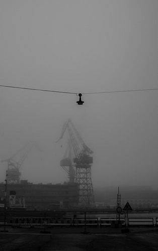 Fogbound Cranes in Ruoholahti