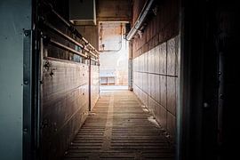 uitgegeven gang in een voormalige varkensboerderij van Infinite Decay