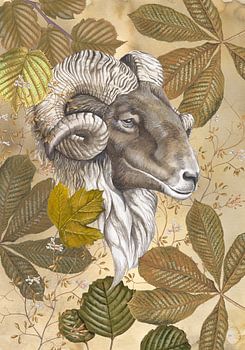 Drents heideschaap in Vintage-Jacke