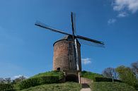 Grafelijke Korenmolen Zeddam van Patrick Verhoef thumbnail