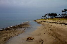 Deserted expanse to the horizon
