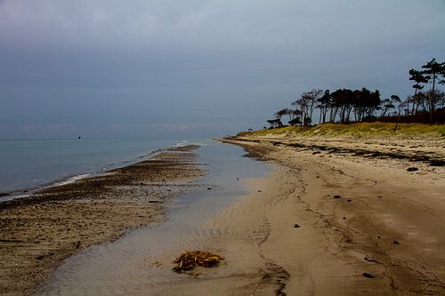Deserted expanse to the horizon
