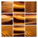 Saharazandcollage van Rob van der Pijll thumbnail