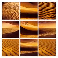 Saharazandcollage