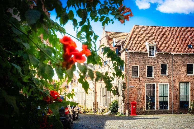 "Summer Colours: Flowers and History in the Mountain Quarter by Bart Ros