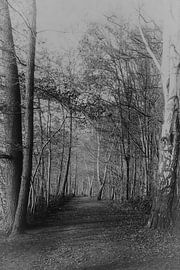 A long way by Robin Bösel