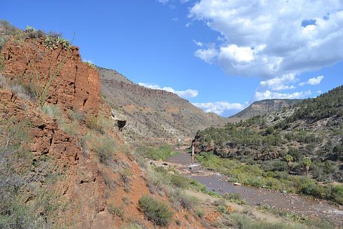 In de Salt River Canyon, Arizona
