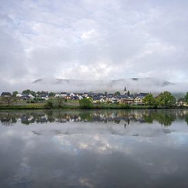 Ellen-Poltersdorf, Mosel, Rheinland-Pfalz, Deutschland von Alexander Ludwig
