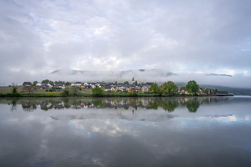 Ellen-Poltersdorf, Mosel, Rheinland-Pfalz, Deutschland von Alexander Ludwig