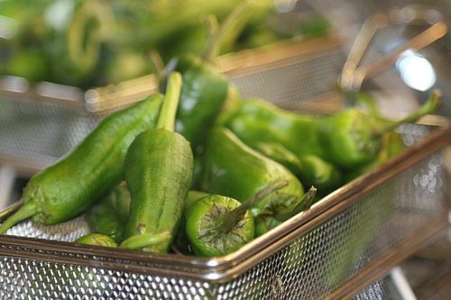 Pimientos de padron