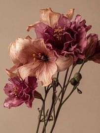 Dried flowers on natural clear background beige by Esmeé Kiewiet