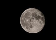 Super lune par shoott photography Aperçu