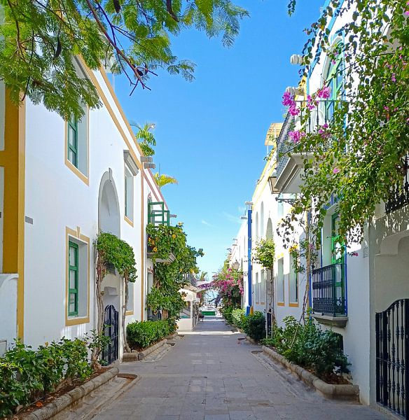 Puerto de Mogán von Niek Traas