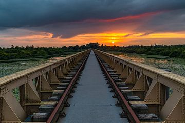 pont de moerputten den bosch sur Tim Doomernik