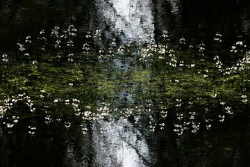 Wasser-Violett-Abstraktion von Danny Slijfer Natuurfotografie