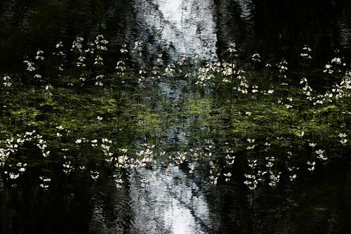 Waterviolier abstractie