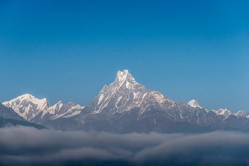 Machhapuchhre / Fishtail