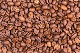 Kaffeebohnen von Berit Kessler