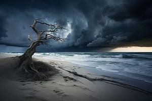 Am Meer